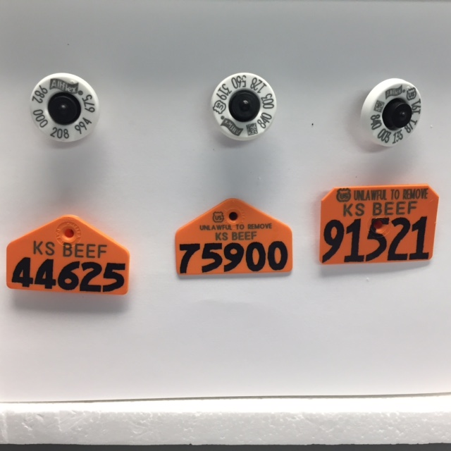 Kansas 4H EID Tags Youth Programs Students & Programs Animal