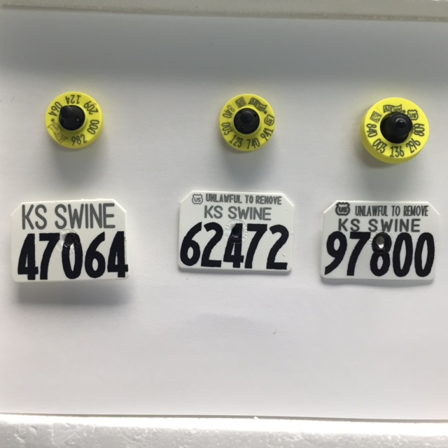 Kansas 4H EID Tags Youth Programs Students & Programs Animal