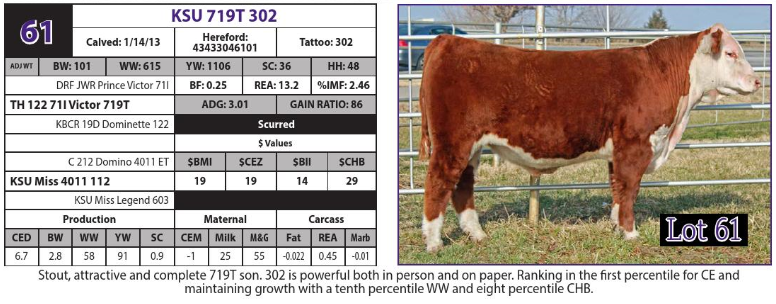 Lot 61