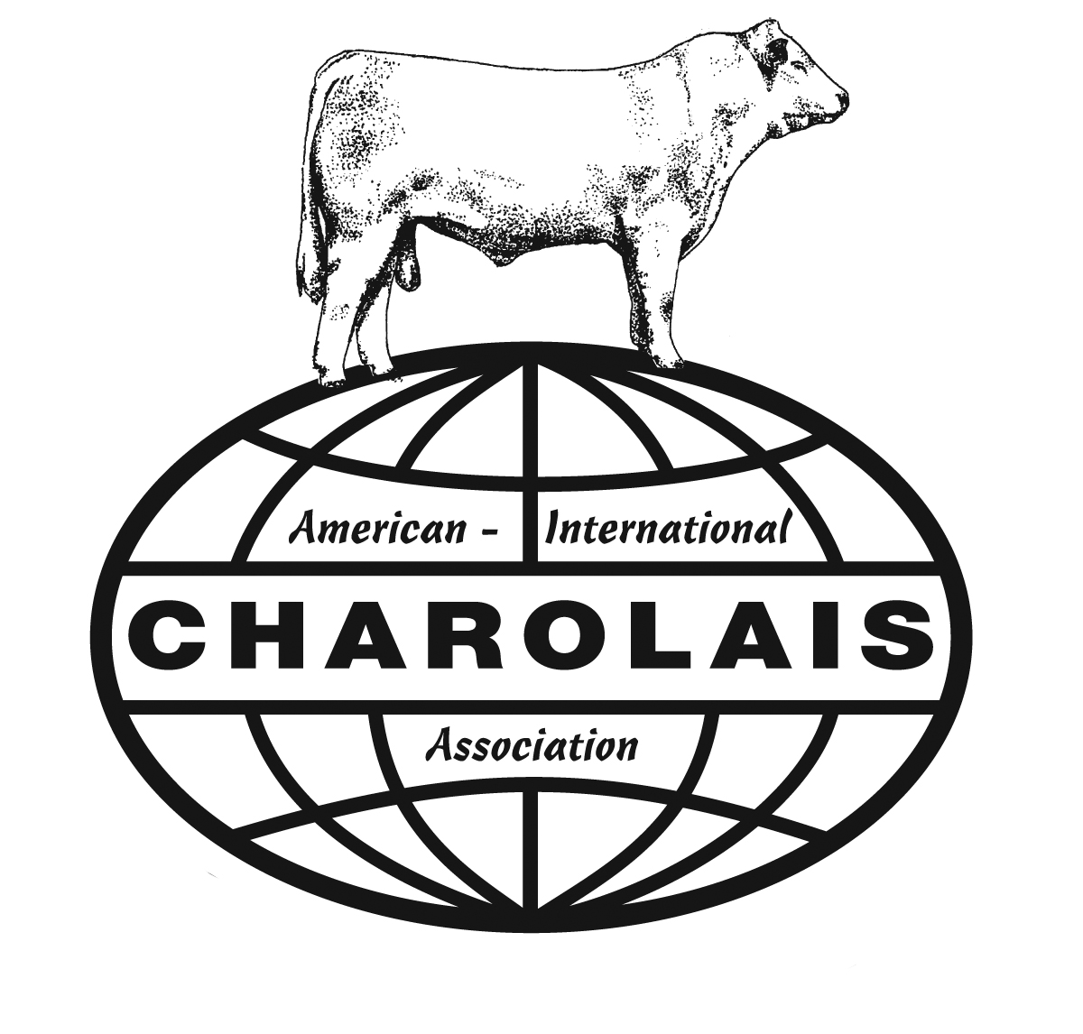 Charolais