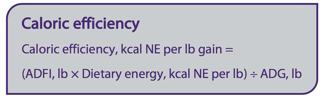 Caloric efficiency calculation for swine