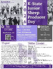 2026 K-State Junior Sheep Producer Day Flyer