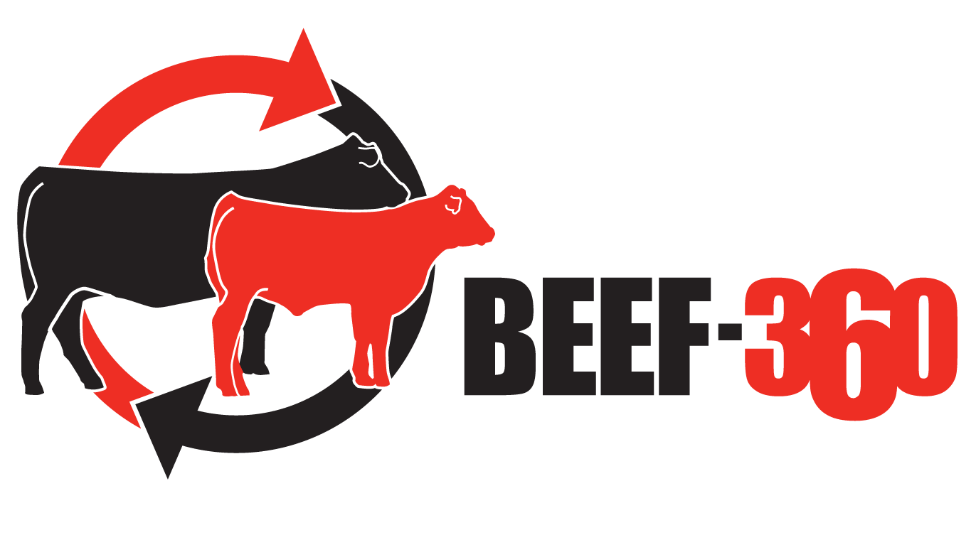 BEEF 360