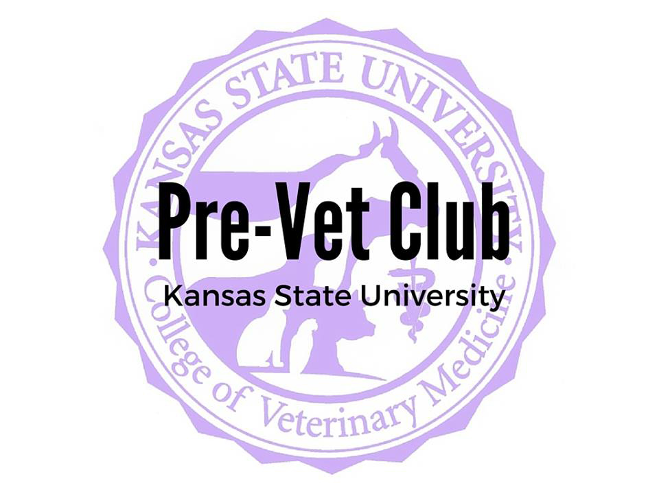 Clubs/Activities Students & Programs Animal Sciences and Industry