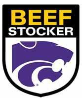 Beef>Stocker Logo