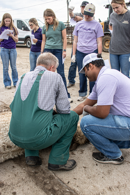 activity at Feedlot Bootcamp