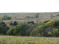 Cow/Calf>unit 2