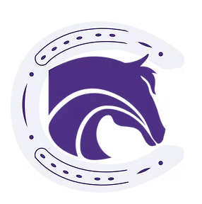 IHSA Equestrian Club Team