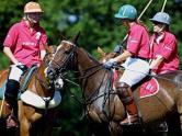 Equine>Ascot Polo Club.jpg