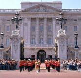 Equine>buckingham palace.jpg
