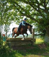 Equine>greenland equestrian center.jpg
