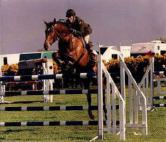 Equine>irish army equitation school.jpg