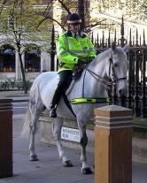Equine>London Mounted Police.jpg