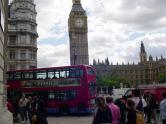 Equine>London.jpg