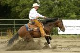 Equine>Sovereign Quarter Horses 2.jpg