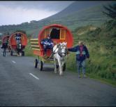 Equine>Waterford Ireland.jpg