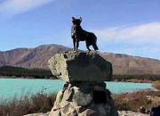 NZ AU Photos>536307-Lake_Tekapo-Christchurch.jpg