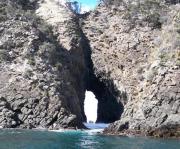 NZ AU Photos>brnyislndtube.jpg