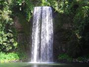 NZ AU Photos>cairns waterfall.jpg
