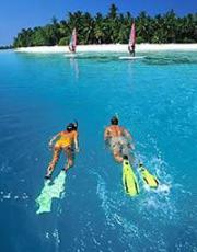 NZ AU Photos>snorkelling cairns.jpg