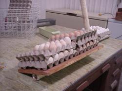 Simple Cheap Homemade Egg Candler 